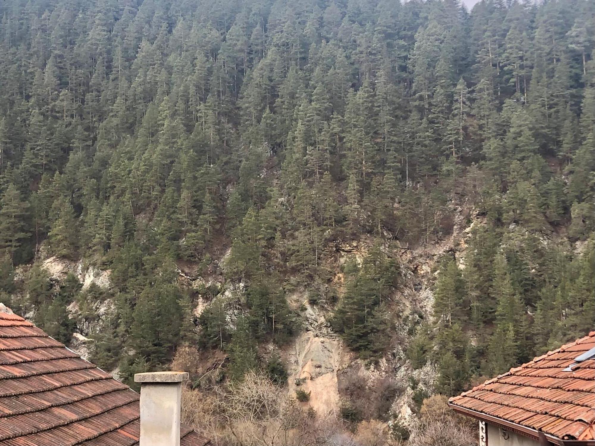Niya Guest House Beli Iskar Exterior foto